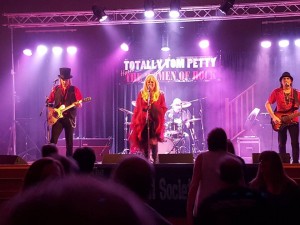 Tribute to Stevie Nicks